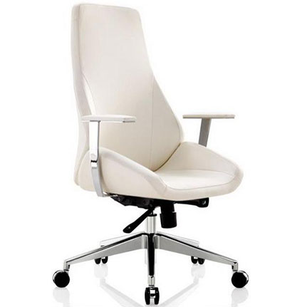 Fauteuil ergonomique PERFECT avec accoudoirs