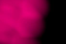 rose-et-noir